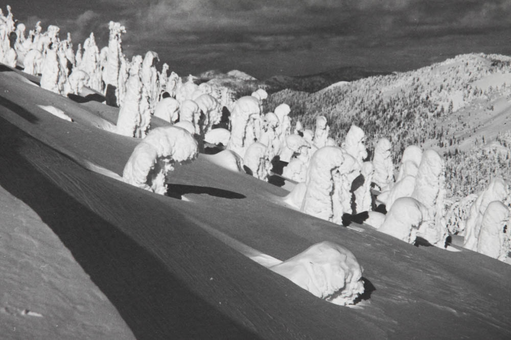 Five Photographic Prints by Ross Hall