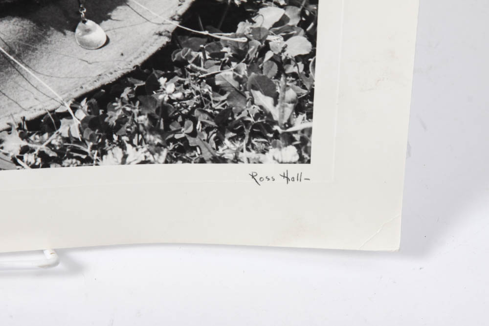 Five Photographic Prints by Ross Hall