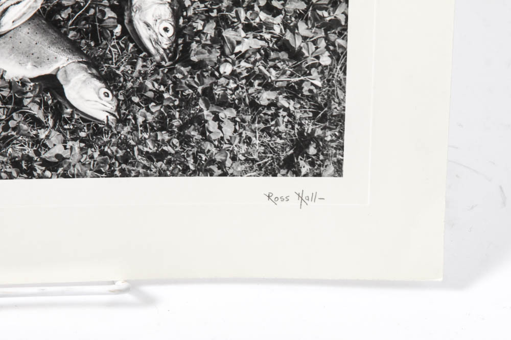 Five Photographic Prints by Ross Hall