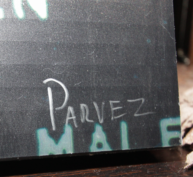 Parvez Taj Steve McQueen Print On Wood