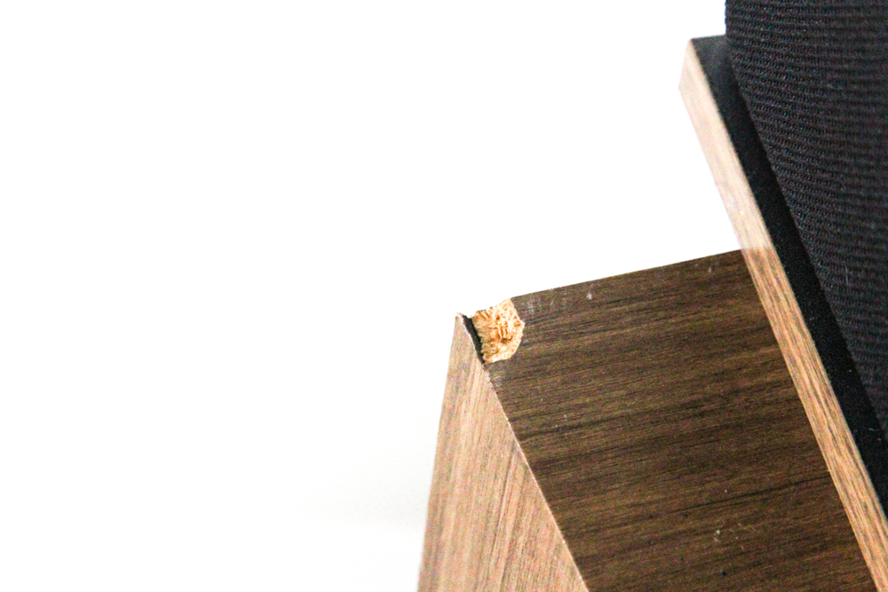 Bose 301 Series III Direct/Reflecting Speakers