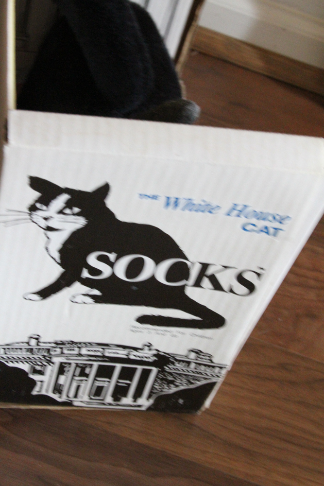 Two Cardboard Cut-Outs of Bill Clinton and Socks The White House Cat