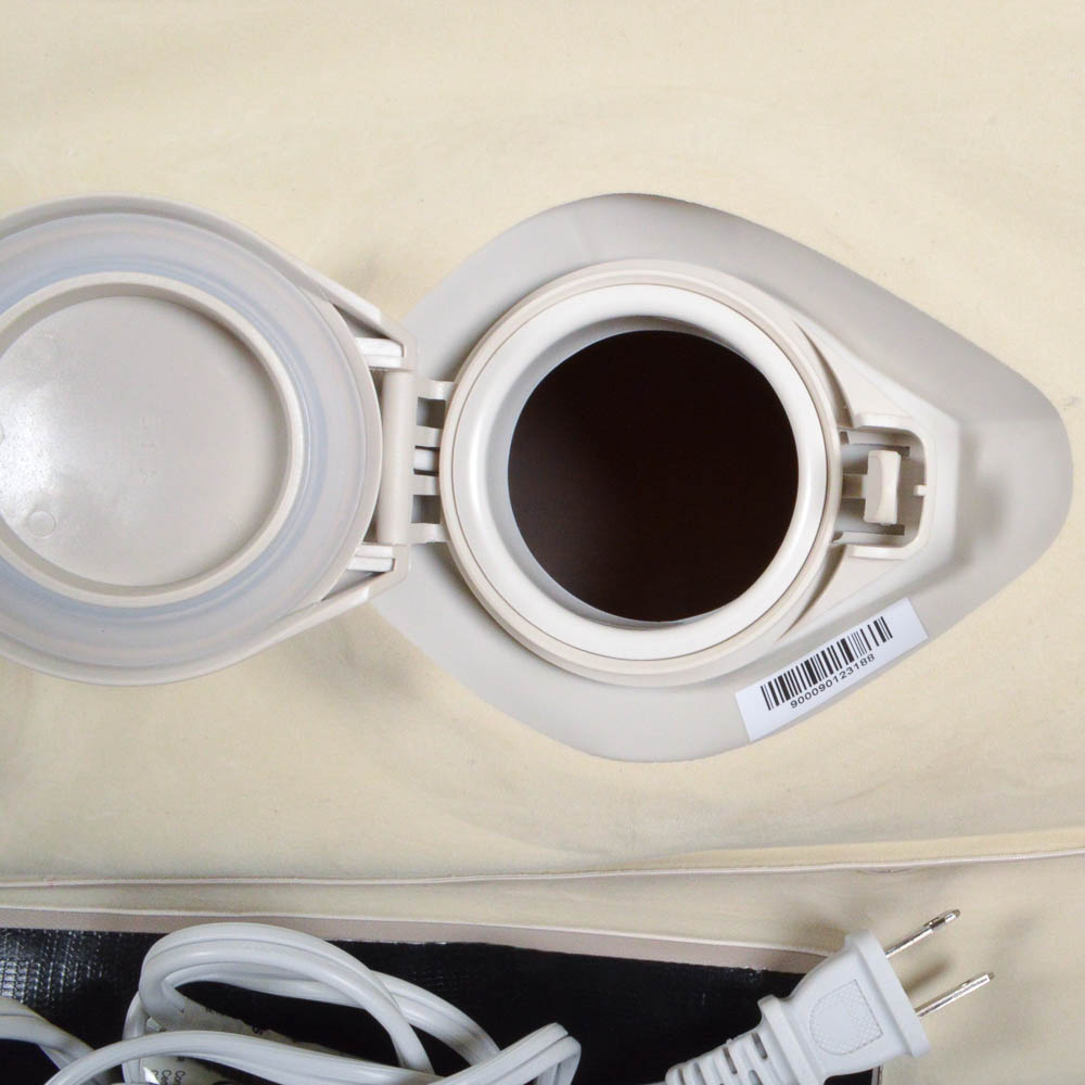 Original Aerobed 24-Inch Raised with Built In Electric Air Pump