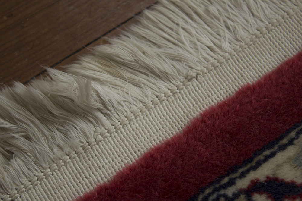 Hand Knotted Floral Herati Area Rug