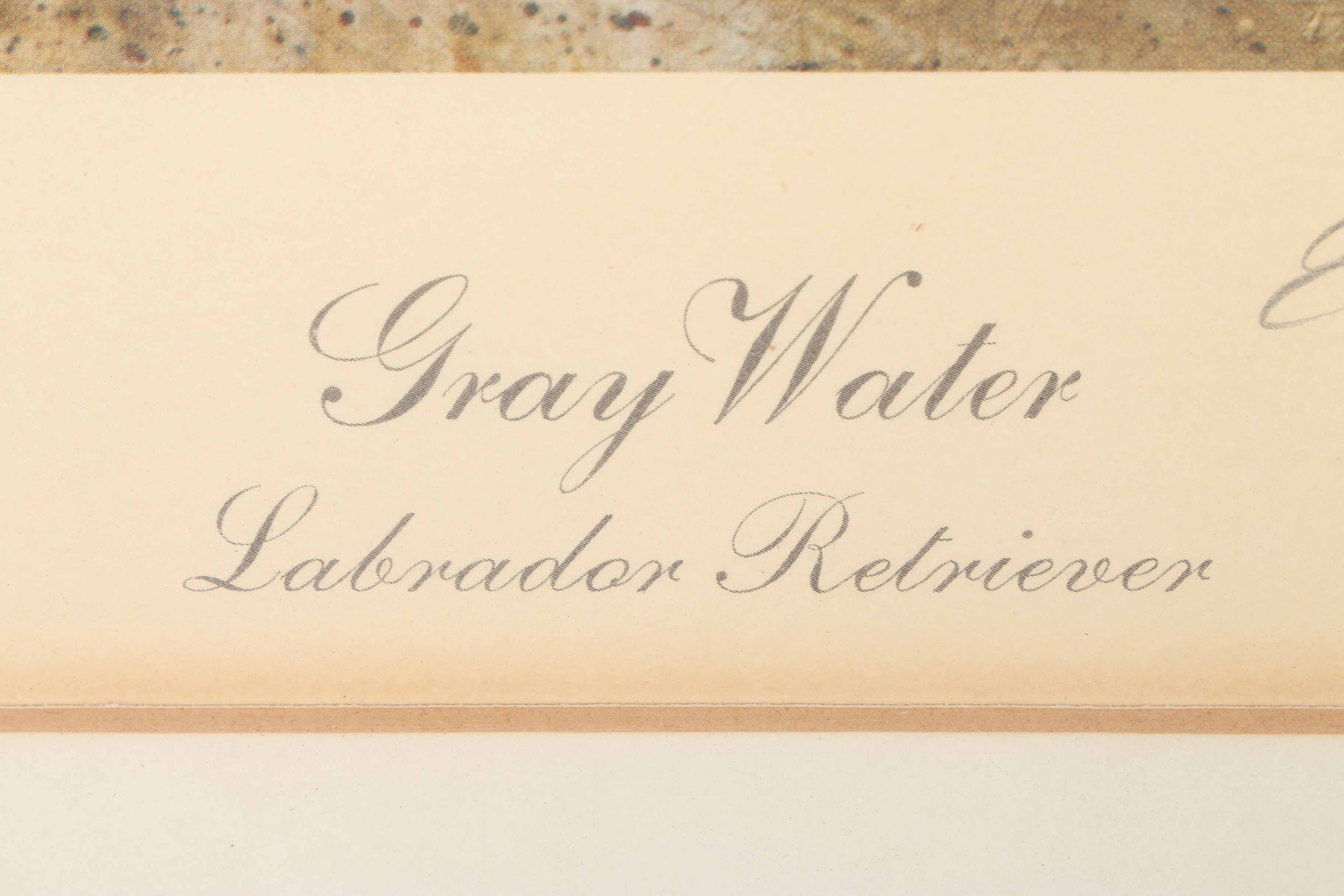 After Robert K. Abbett Offset Lithograph "Gray Water, Labrador Retriever"