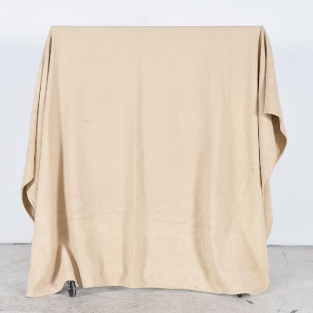 Queen Sized Historic Charleston Foundation King Charles Matelassé Collection Bedspread