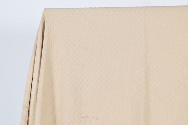 Queen Sized Historic Charleston Foundation King Charles Matelassé Collection Bedspread