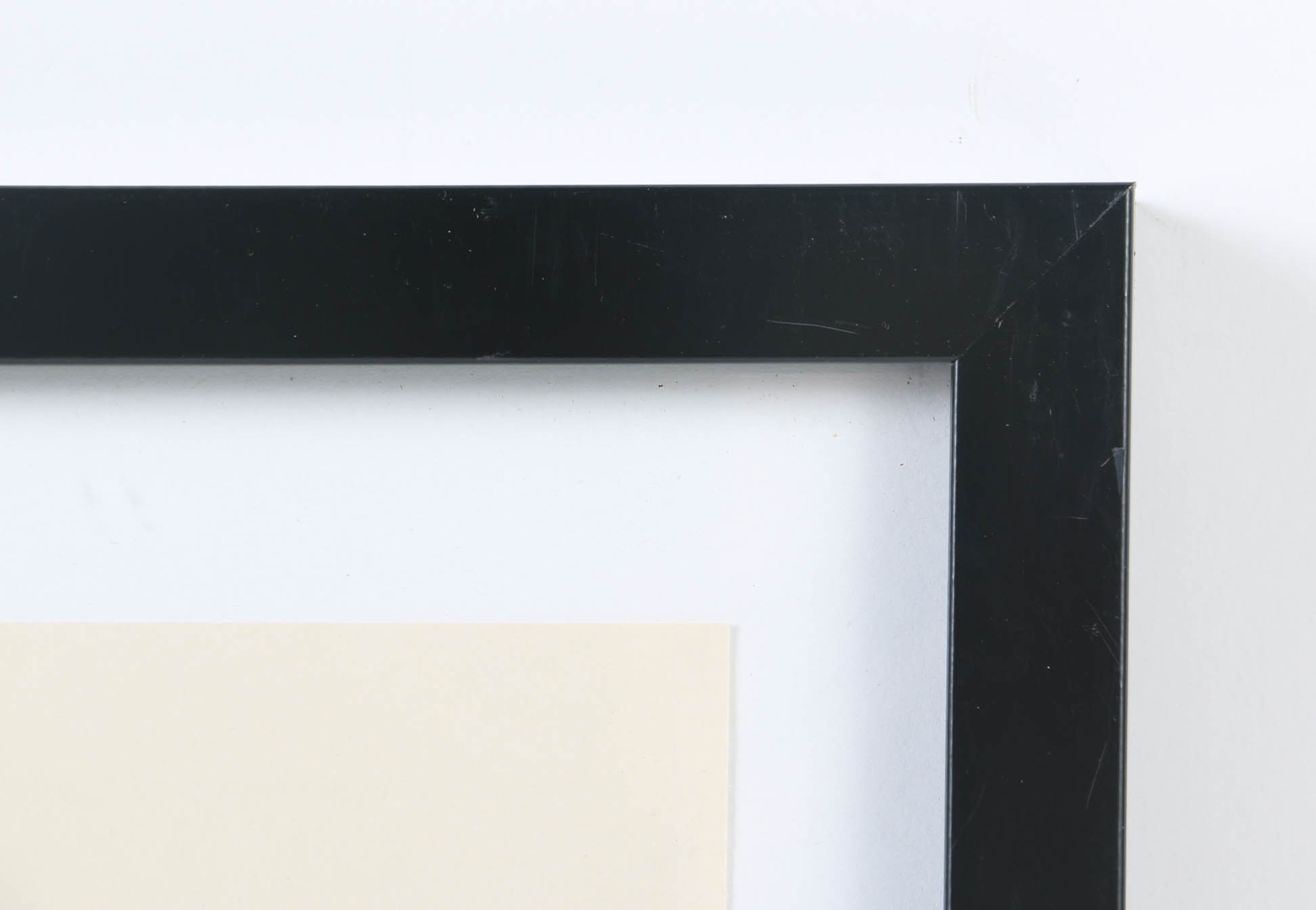 Collection of Offset Lithographs of Rodger Tory Peterson Ornithology Illustrations