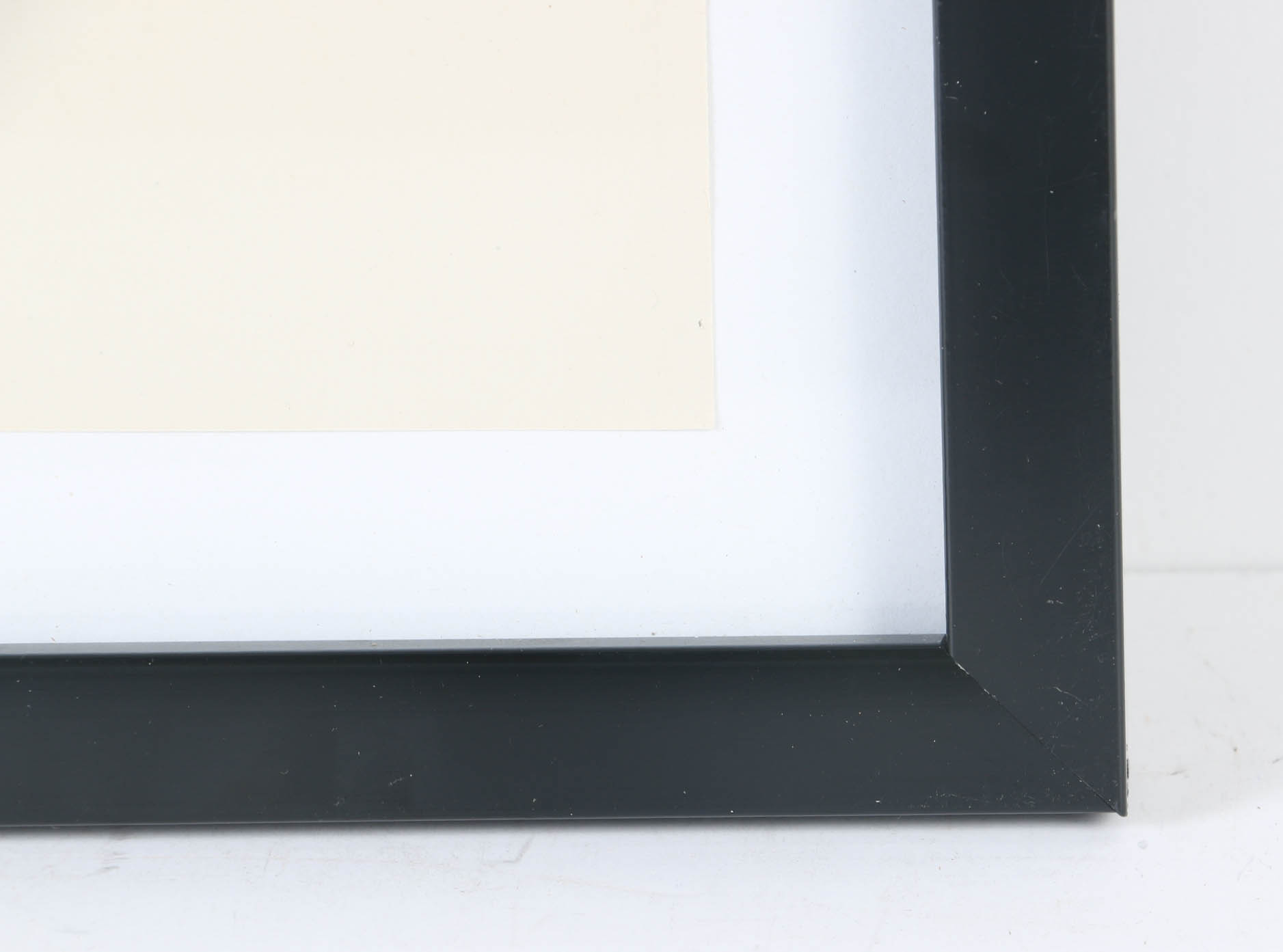 Collection of Offset Lithographs of Rodger Tory Peterson Ornithology Illustrations