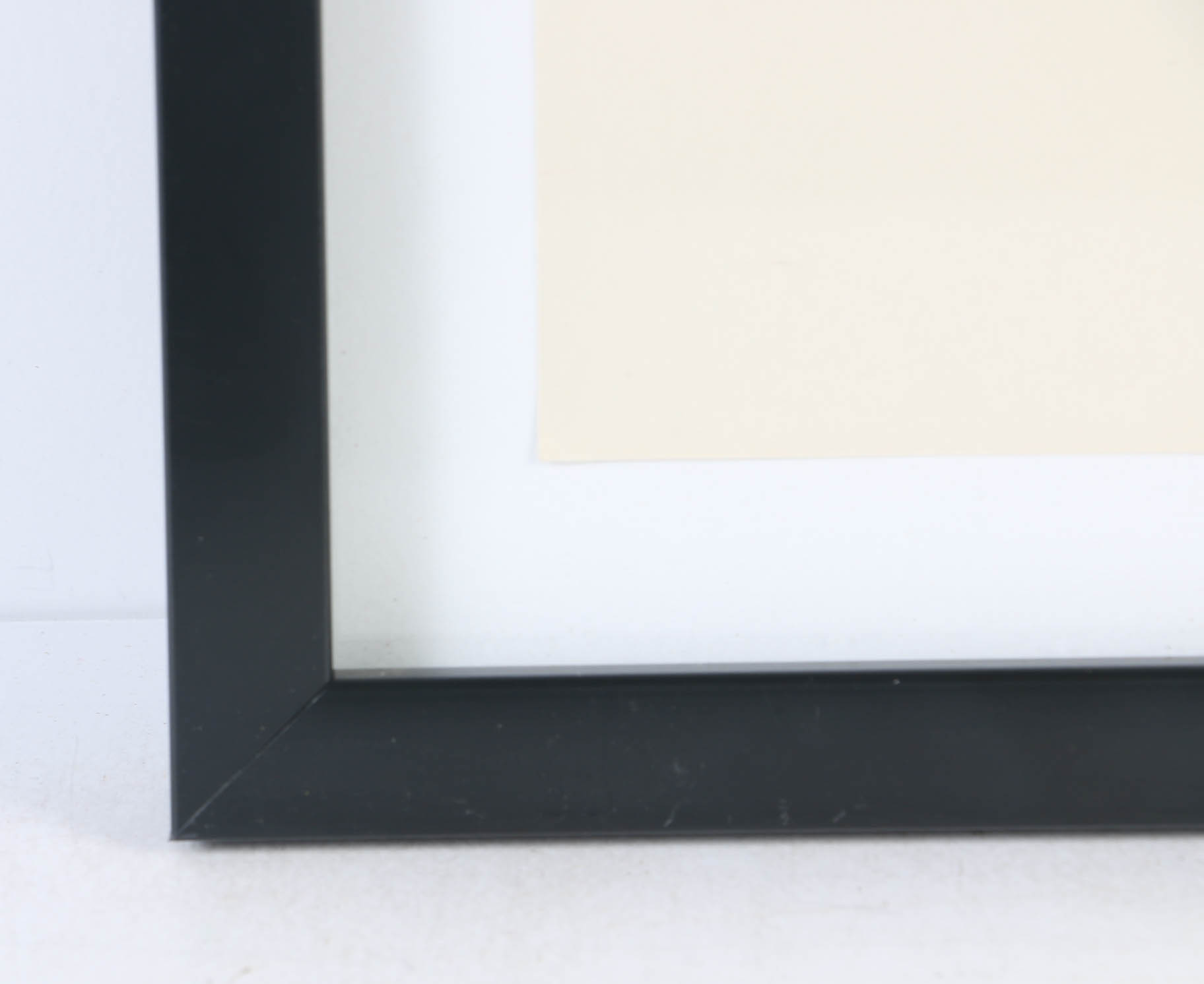 Collection of Offset Lithographs of Rodger Tory Peterson Ornithology Illustrations