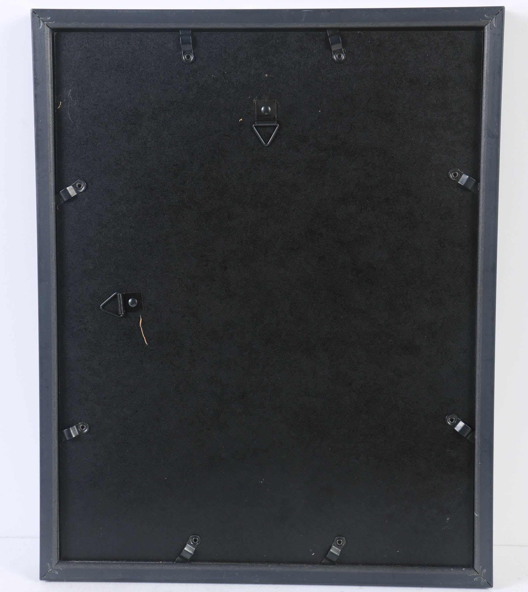 Collection of Offset Lithographs of Rodger Tory Peterson Ornithology Illustrations