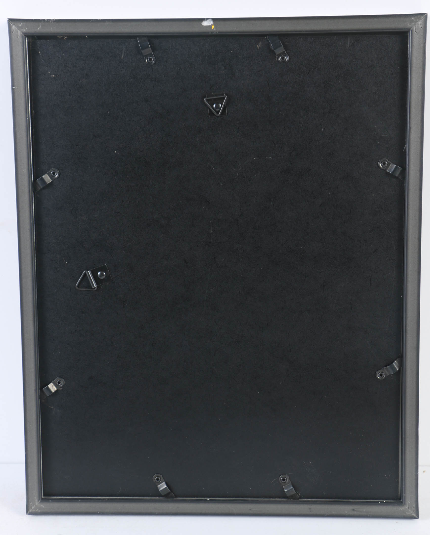 Collection of Offset Lithographs of Rodger Tory Peterson Ornithology Illustrations