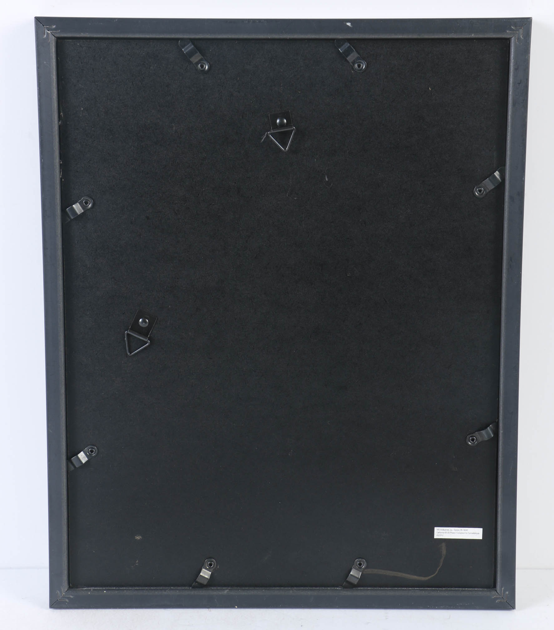 Collection of Offset Lithographs of Rodger Tory Peterson Ornithology Illustrations