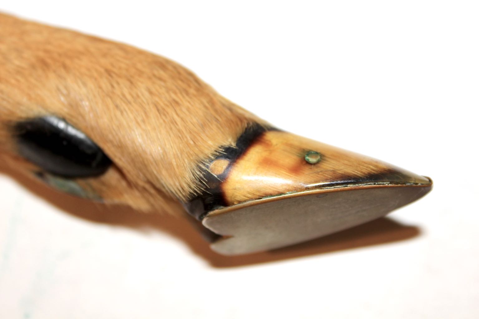 Puma Solingen Rostfrei Vintage Hoof Handle Knife