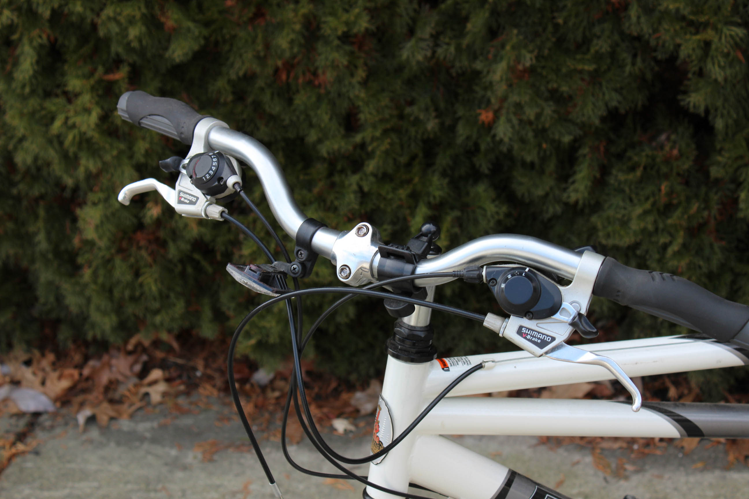 Raleigh Tandem Bicycle