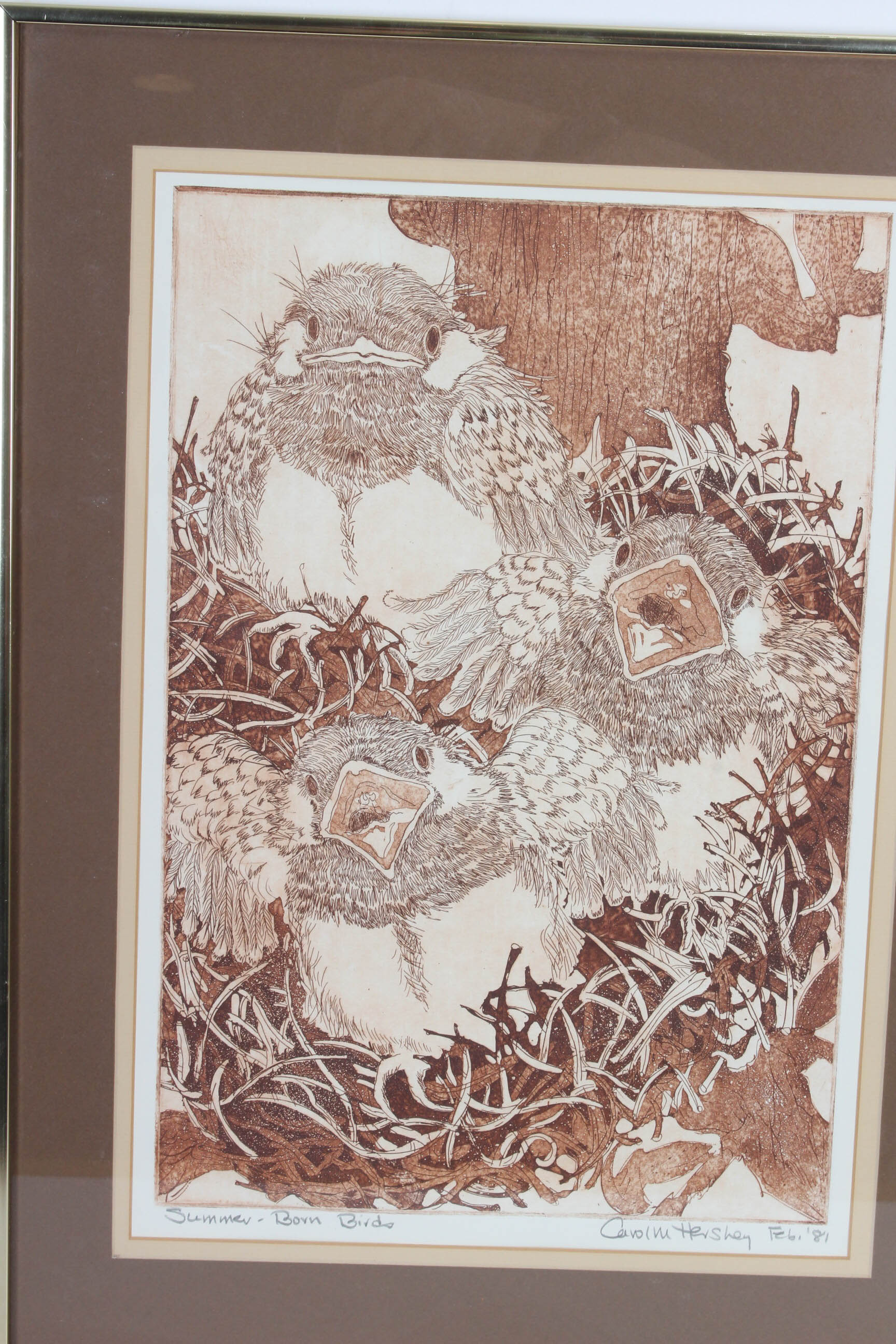 Carol M. Hershey Limited Edition Etching "Summer-Born Birds"