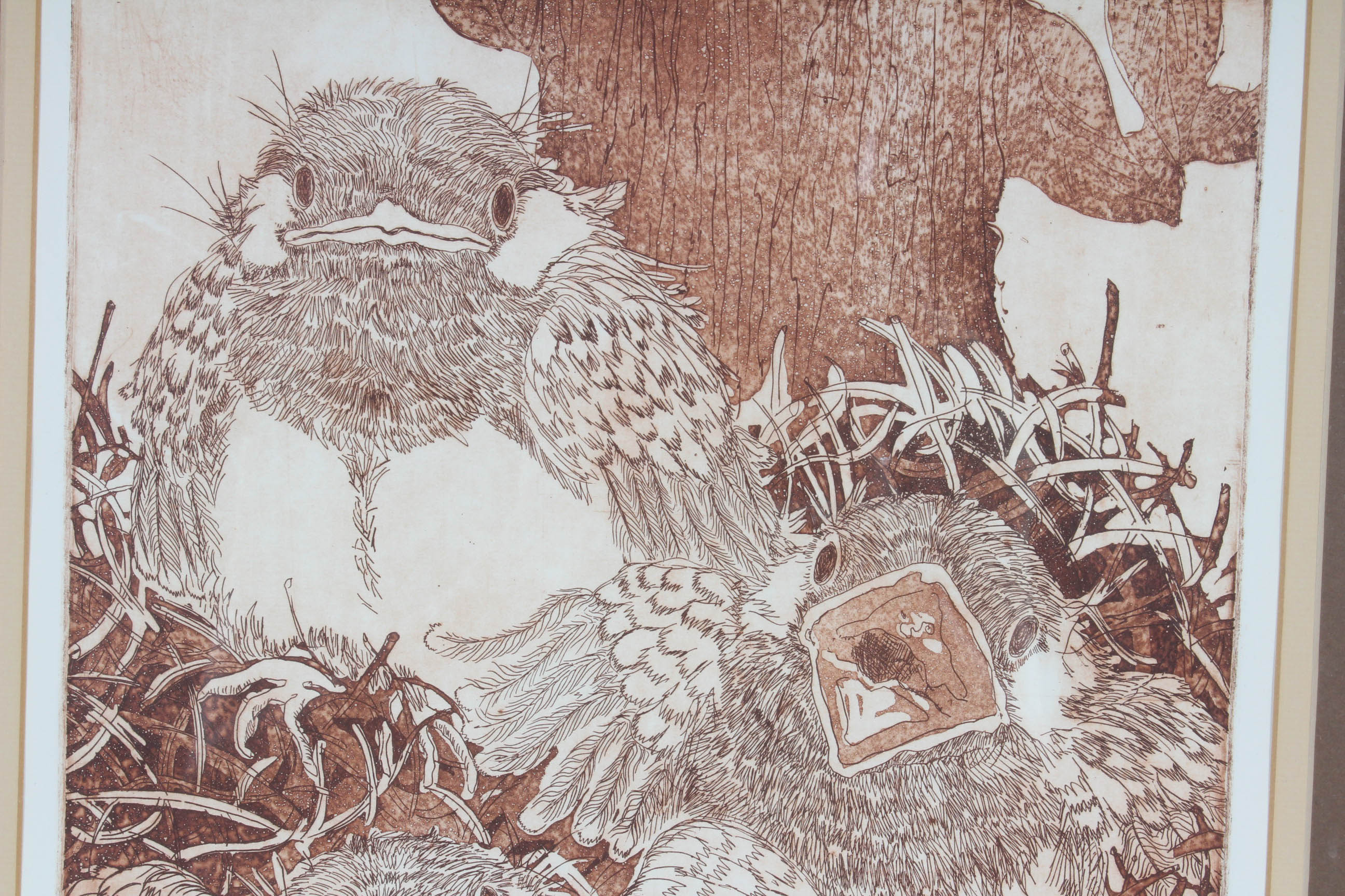 Carol M. Hershey Limited Edition Etching "Summer-Born Birds"