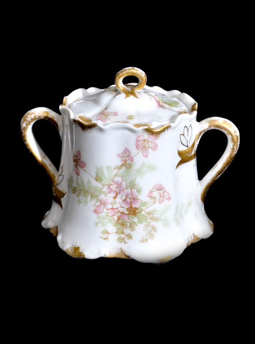 Vintage Haviland & Co. Limoges China Creamer & Sugar