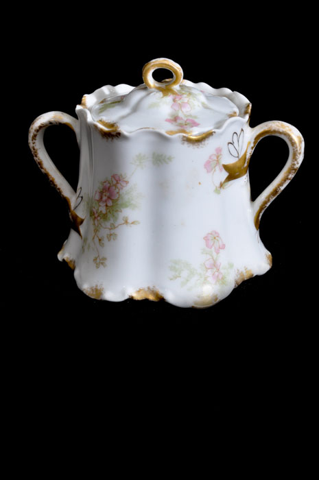 Vintage Haviland & Co. Limoges China Creamer & Sugar