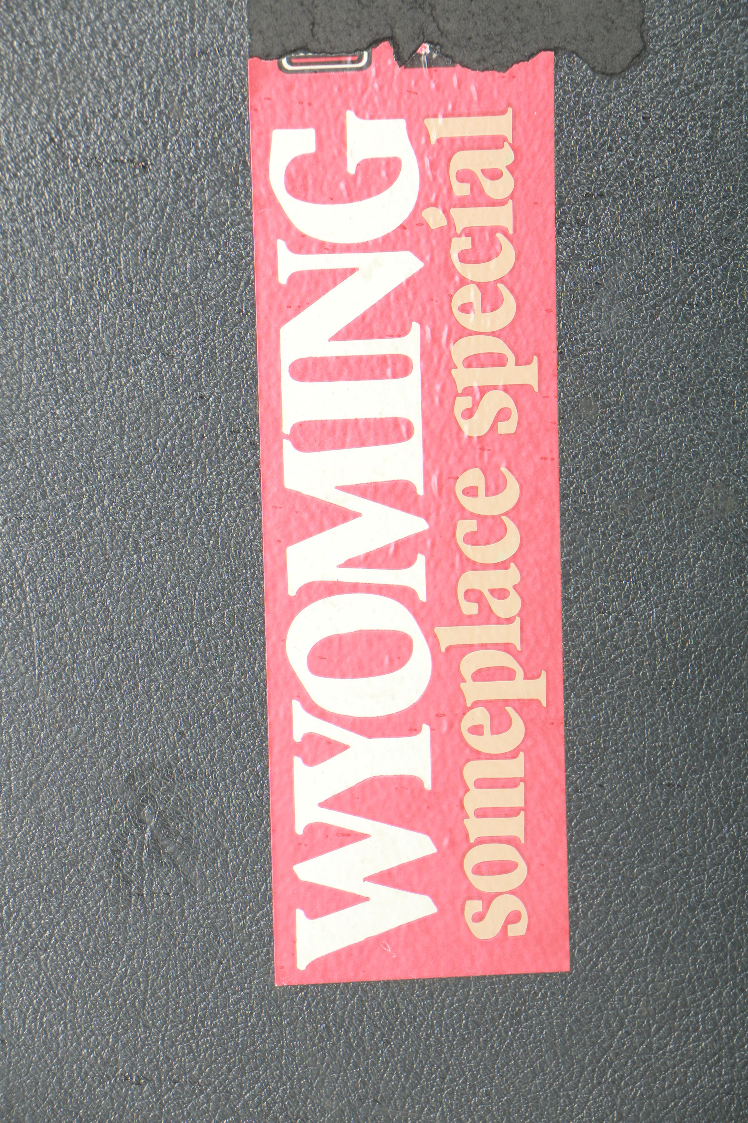 Hondo H310A Classical Style Acoustic Guitar and Case