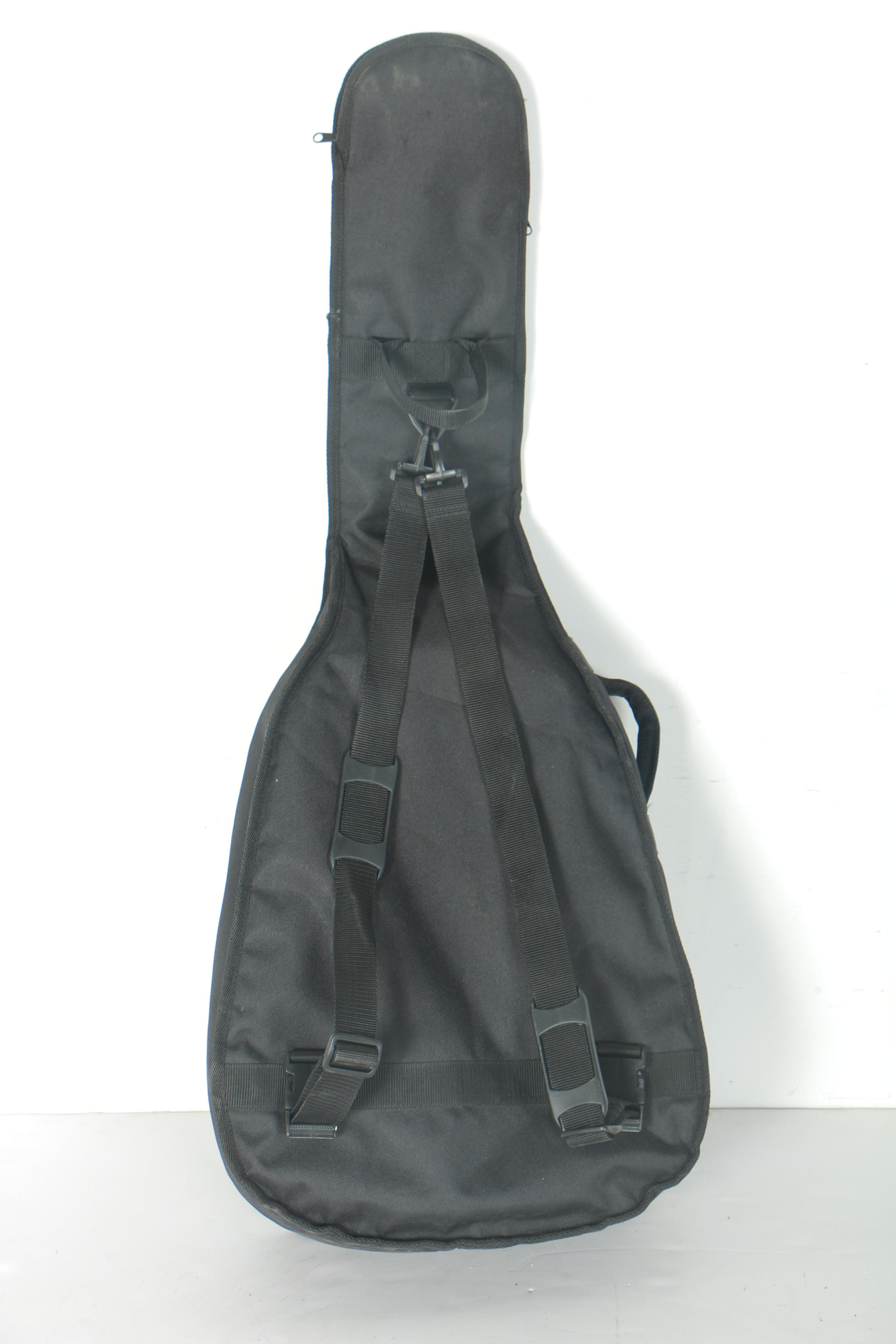 Alvarez Regent Dreadnought Style Acoustic Guitar and Case