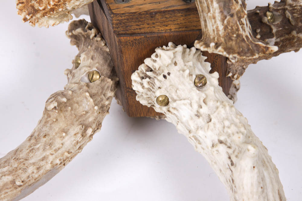 Deer Antler Chandelier Light Fixture