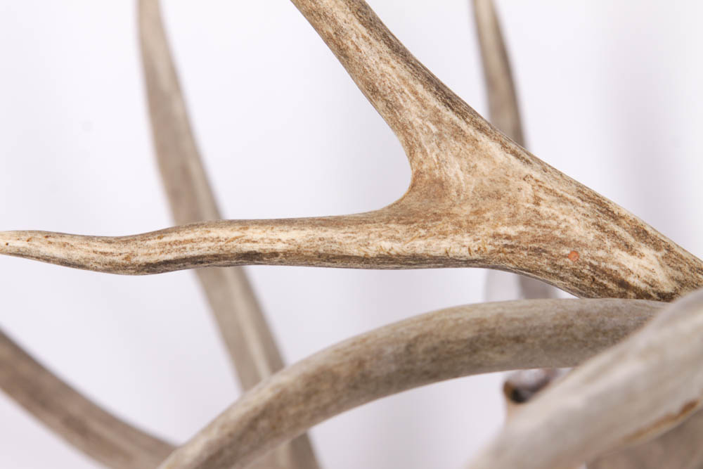 Deer Antler Chandelier Light Fixture