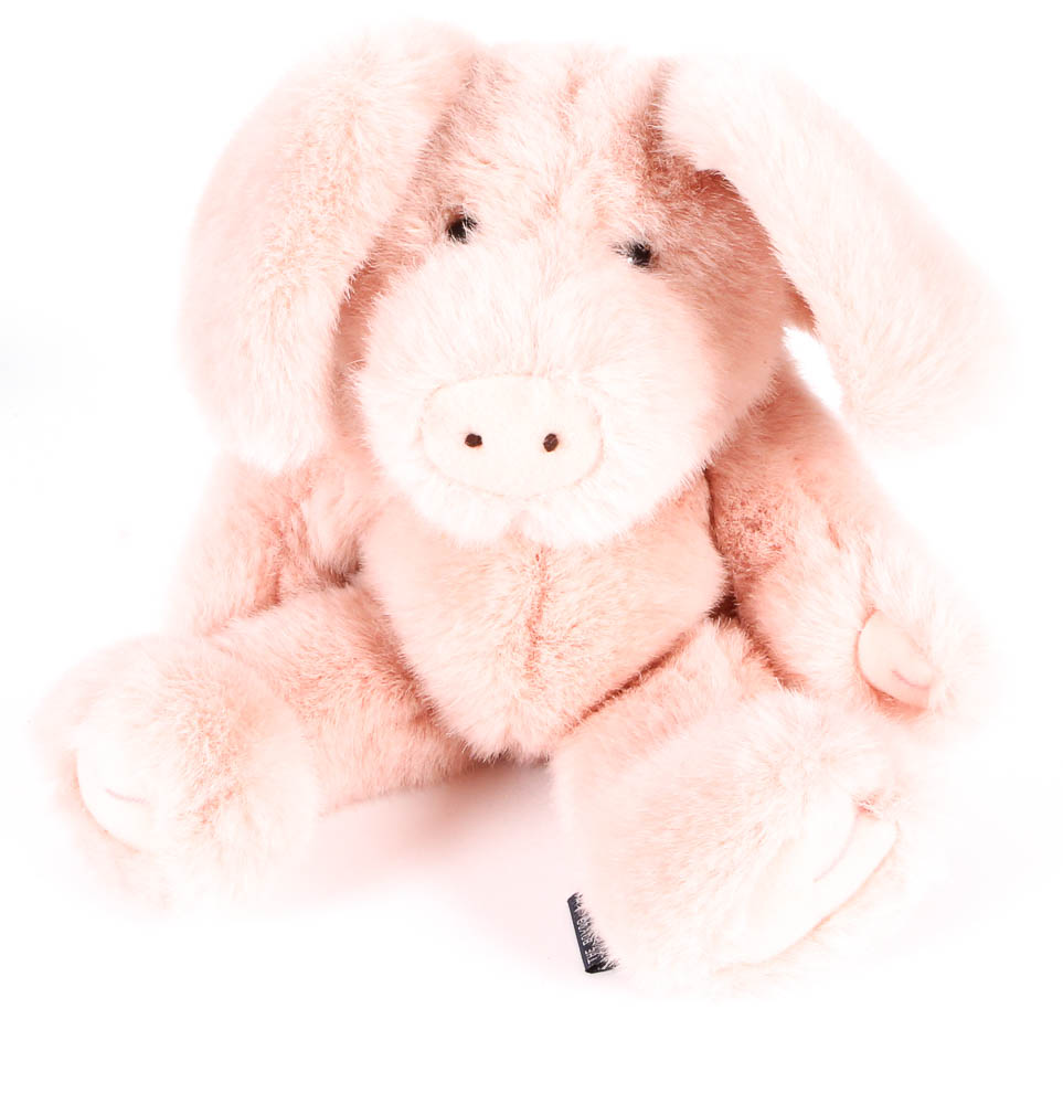 Vintage Picture Record and Stuffed Toys