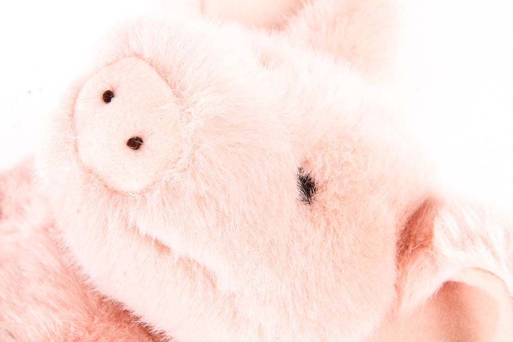 Vintage Picture Record and Stuffed Toys