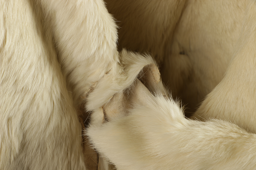 Qing Dynasty Chinese Women's Ermine Fur Lined Embroidered Robe