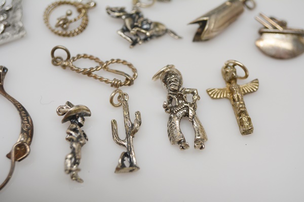 Sterling Silver Charm Bracelet and Western Themed Charms