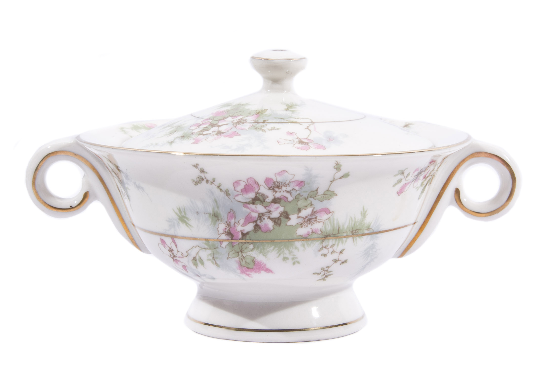 Set of Haviland China in "Apple Blossom" Pattern