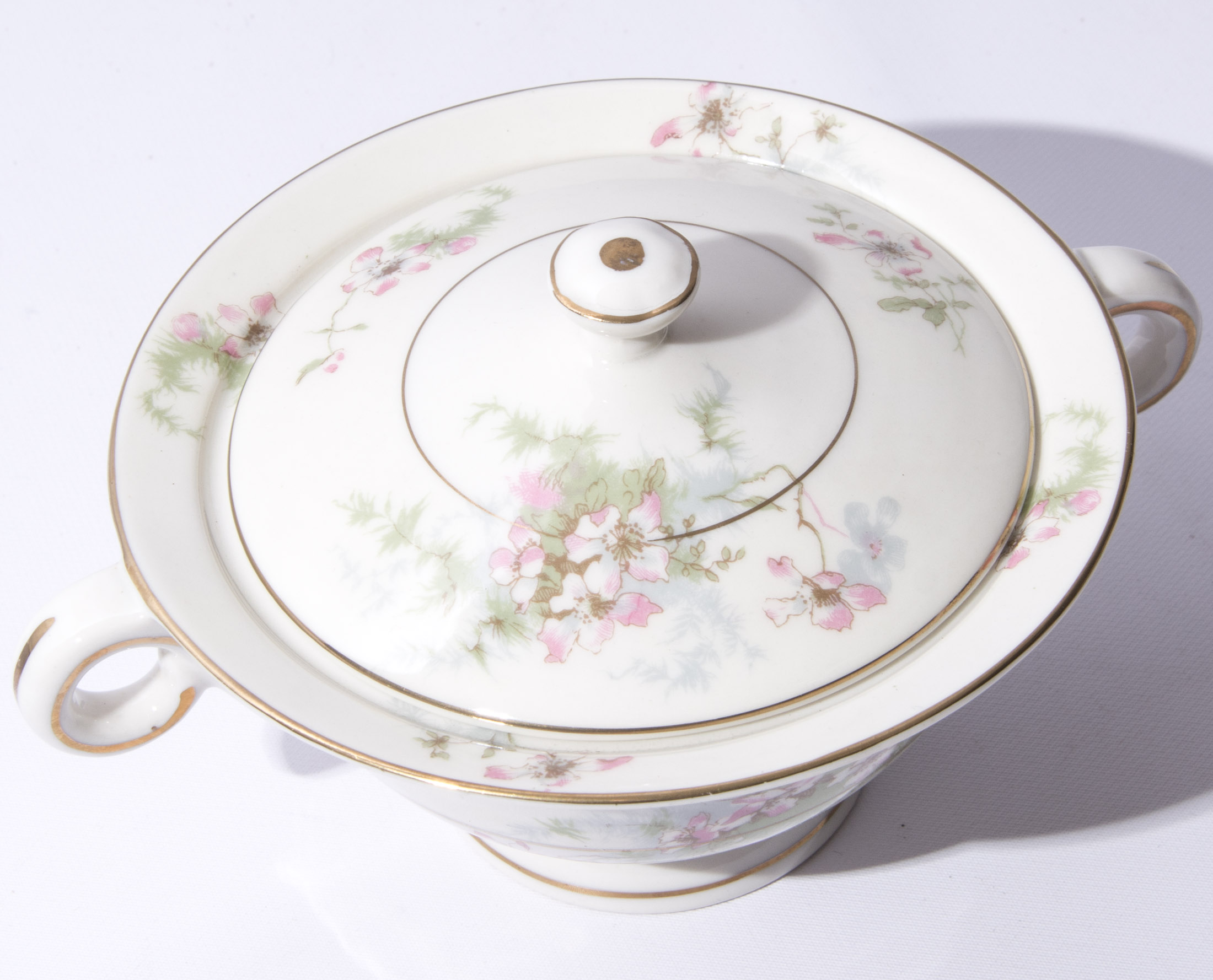 Set of Haviland China in "Apple Blossom" Pattern