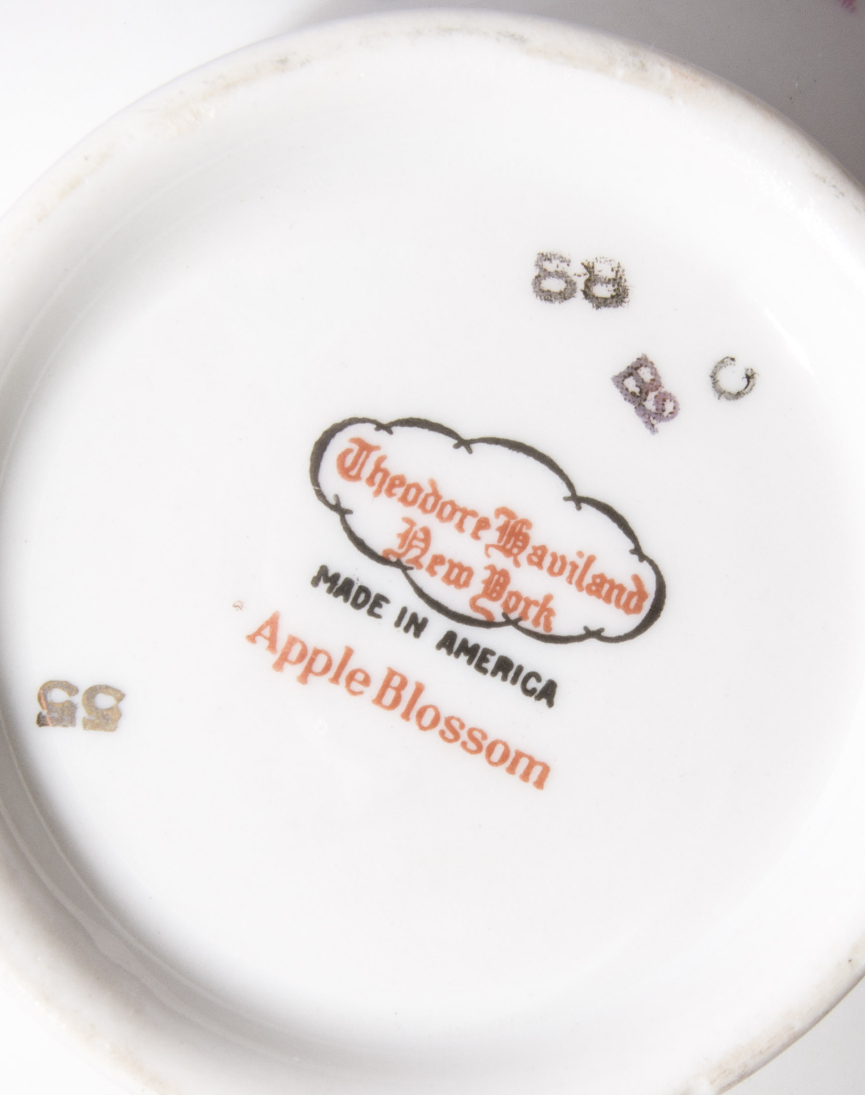 Set of Haviland China in "Apple Blossom" Pattern