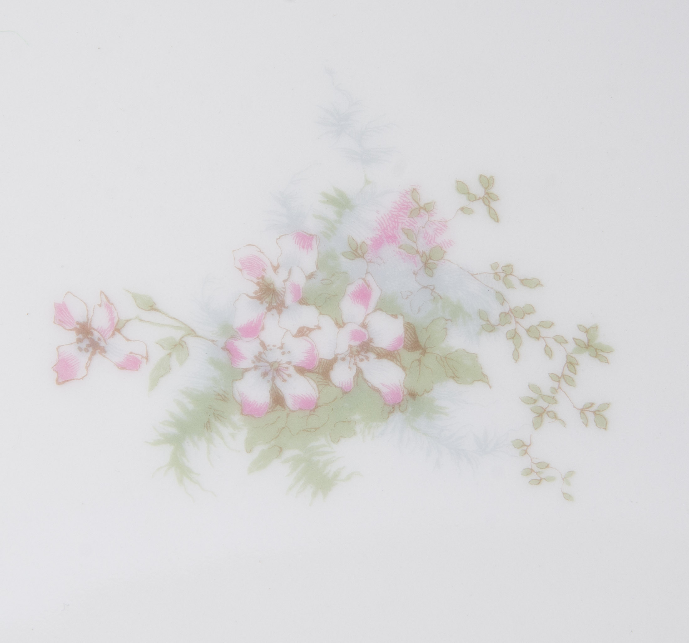 Set of Haviland China in "Apple Blossom" Pattern