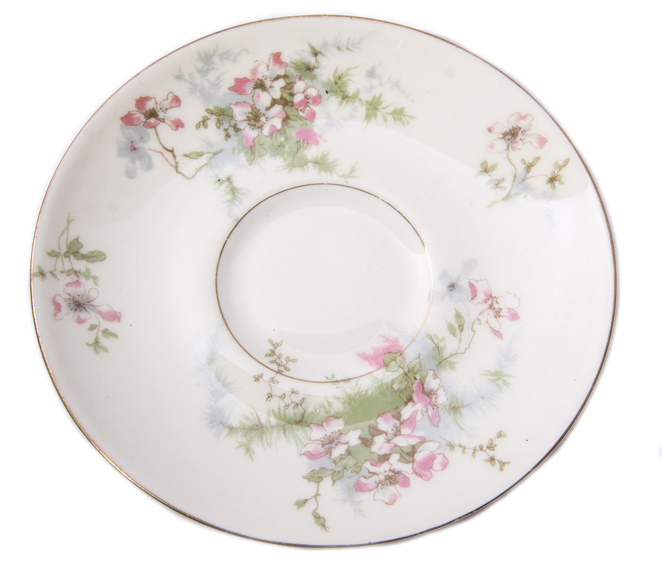 Set of Haviland China in "Apple Blossom" Pattern