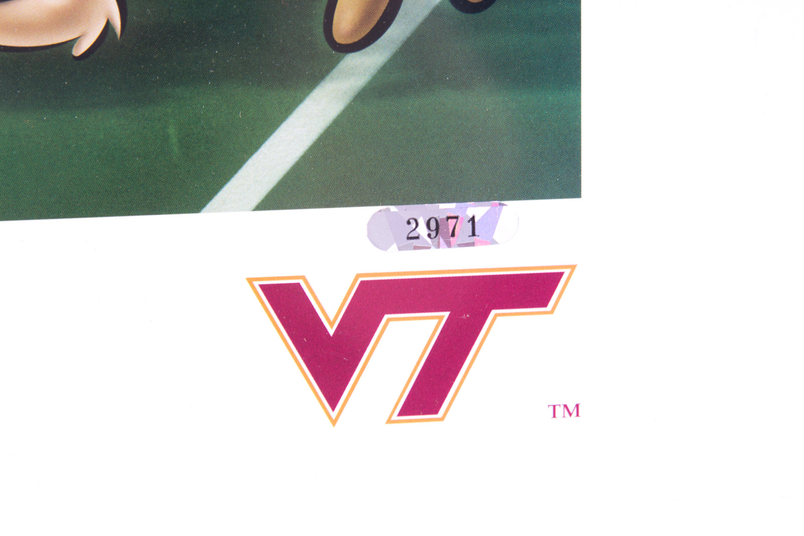 Frank Beamer Signed "Go Hokies" Looney Tunes Virginia Tech Offset Lithograph