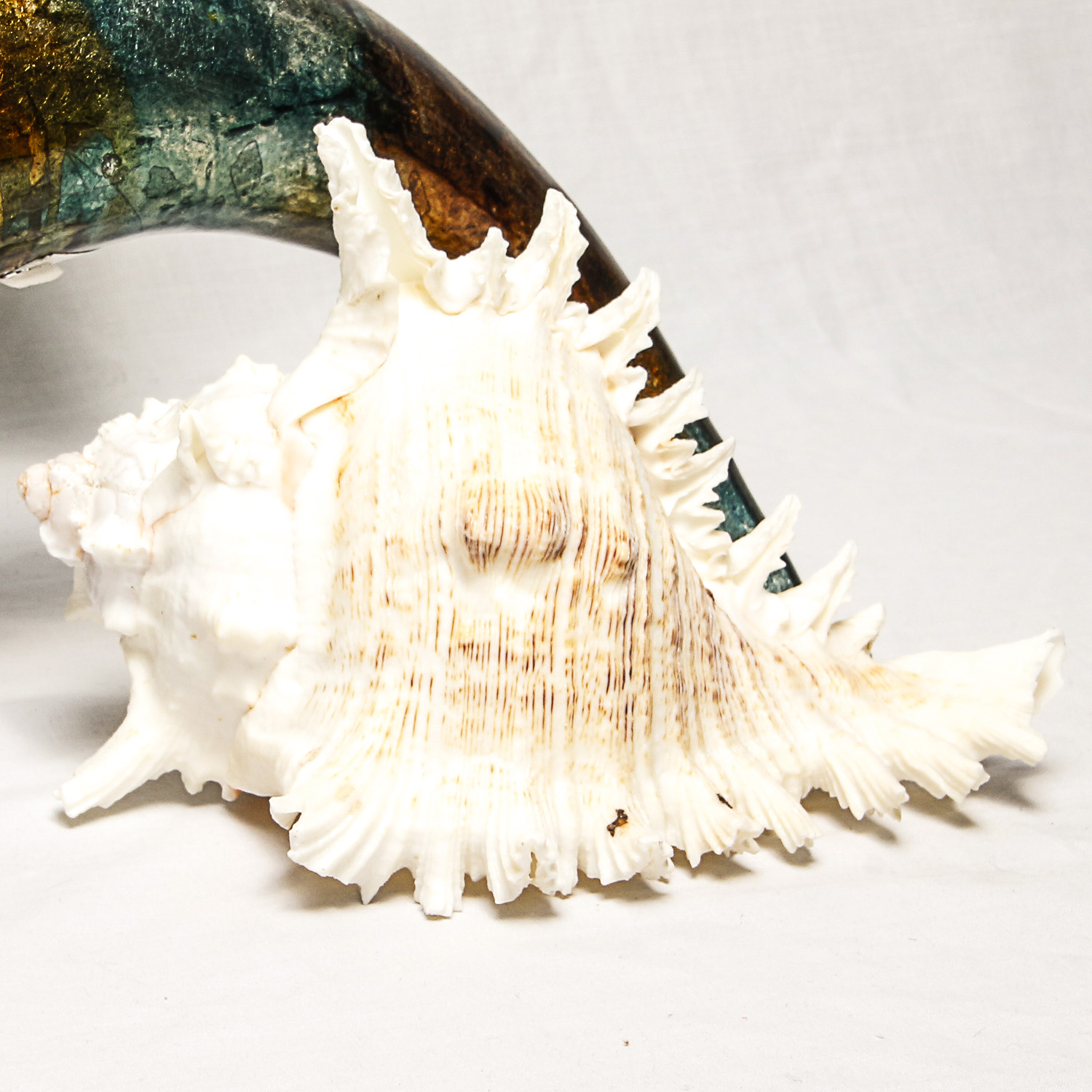 Beach and Seaside Inspired Decorative Collection