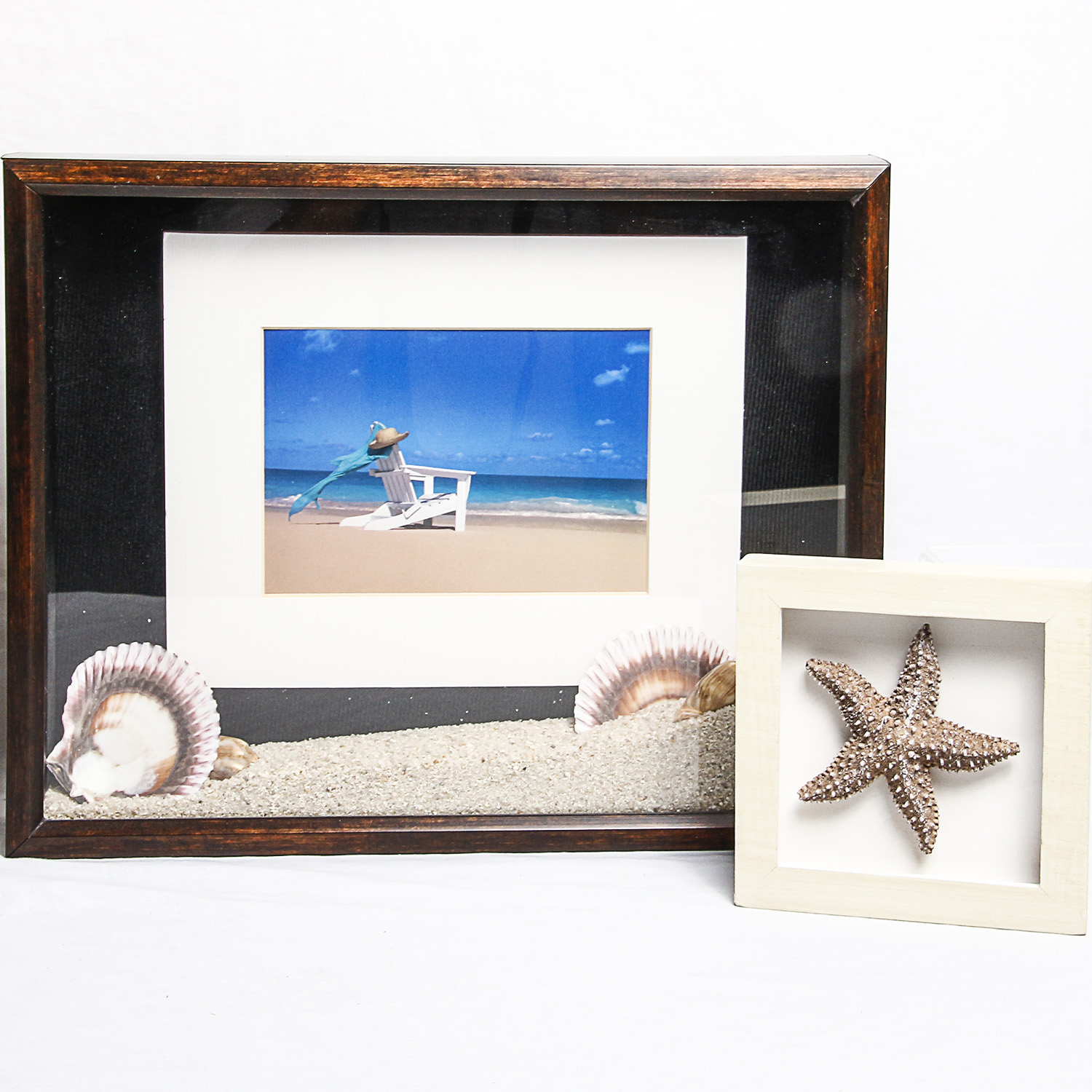 Pair of Framed Shell Wall Art Pieces