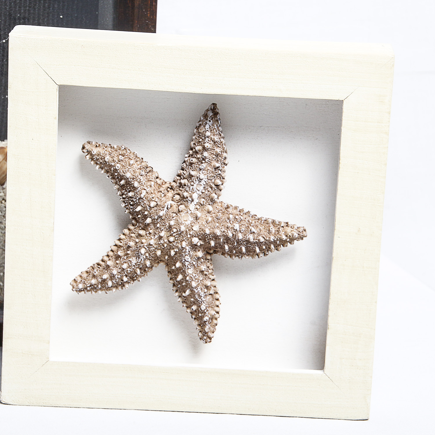 Pair of Framed Shell Wall Art Pieces