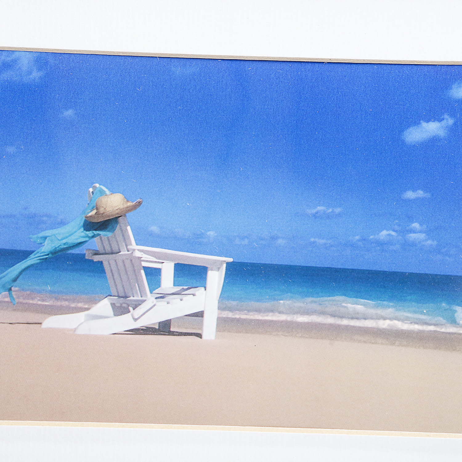 Pair of Framed Shell Wall Art Pieces