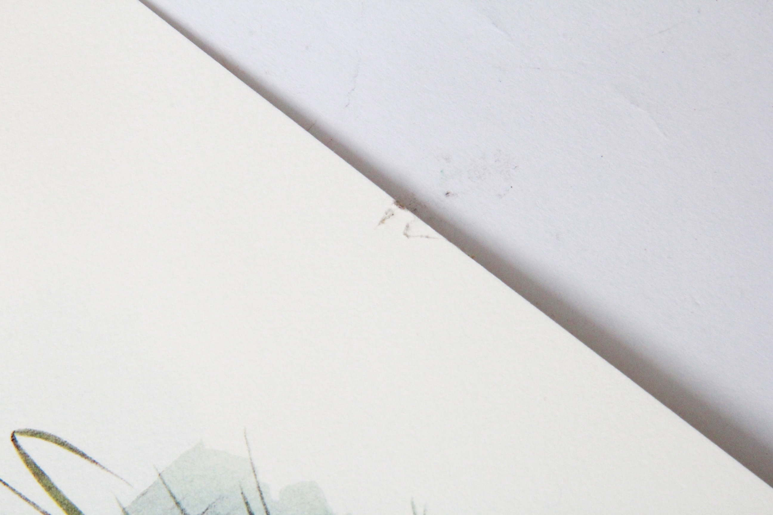 John J. Audubon  Offset Lithograph "Common American Deer"