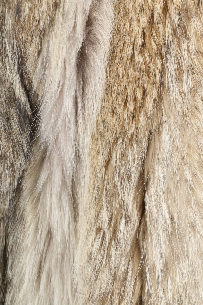Coyote Fur Coat by L. Magnin