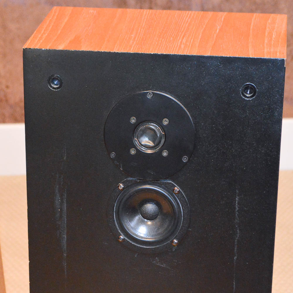Thiel Coherent Source Loudspeaker Model CS2