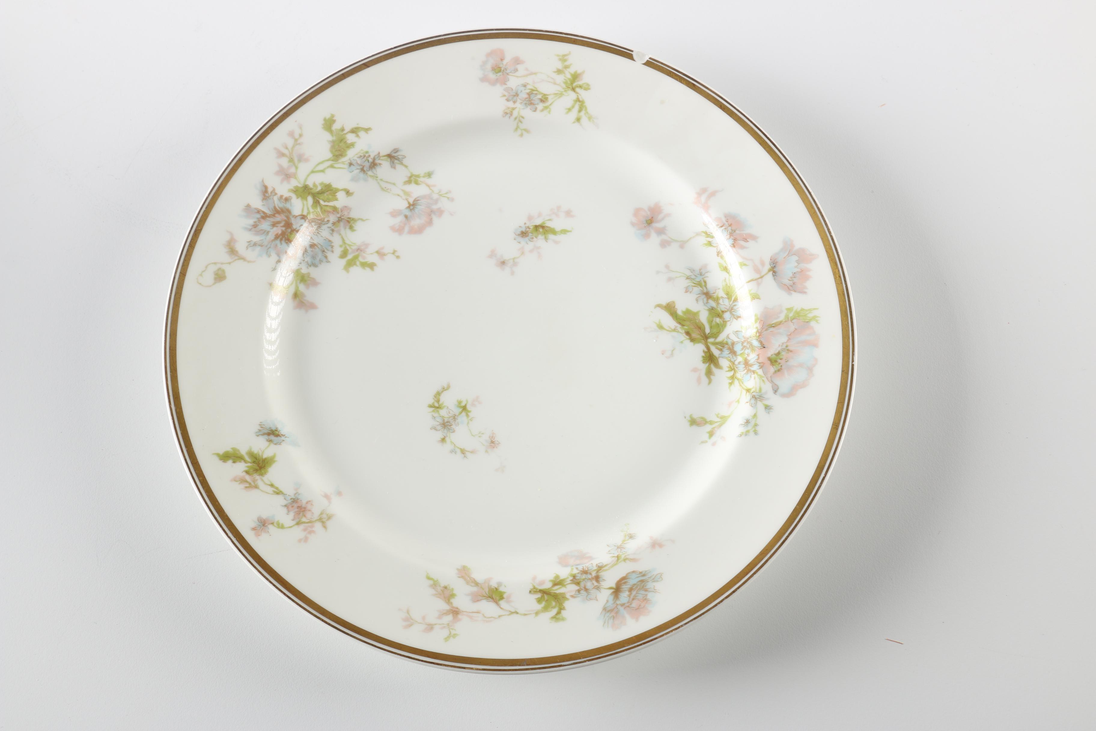 Chinaware Plates Featuring Haviland & Co.