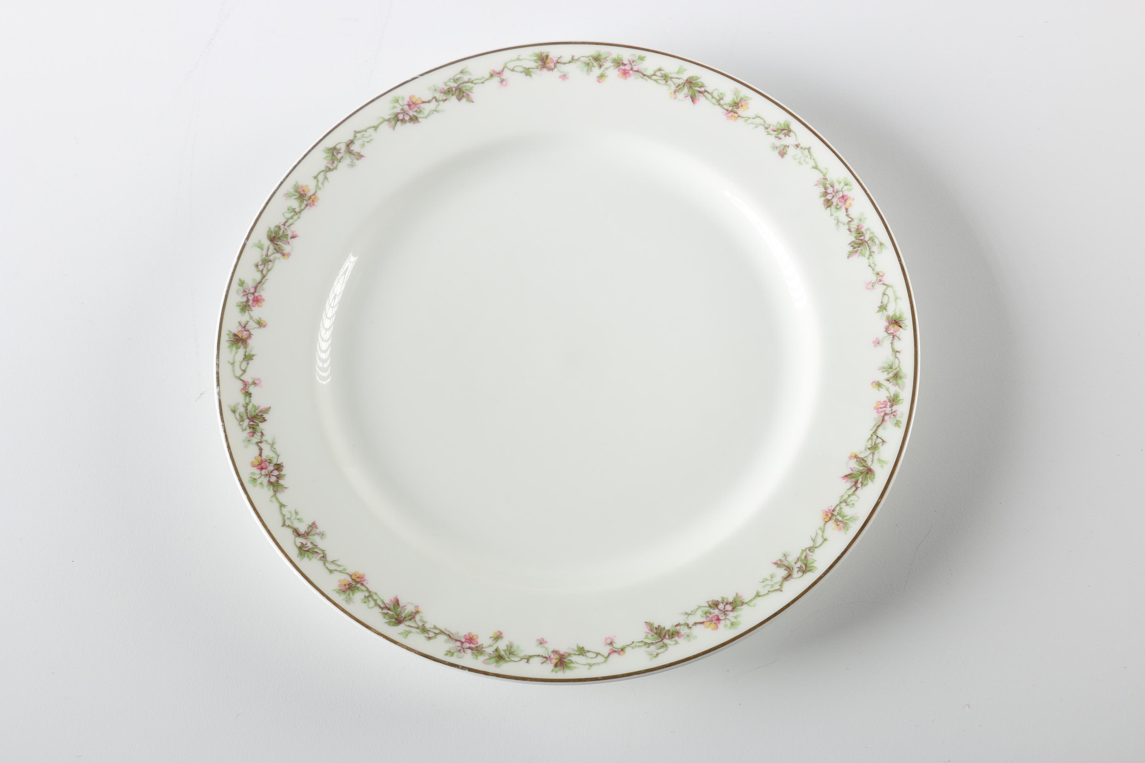 Chinaware Plates Featuring Haviland & Co.