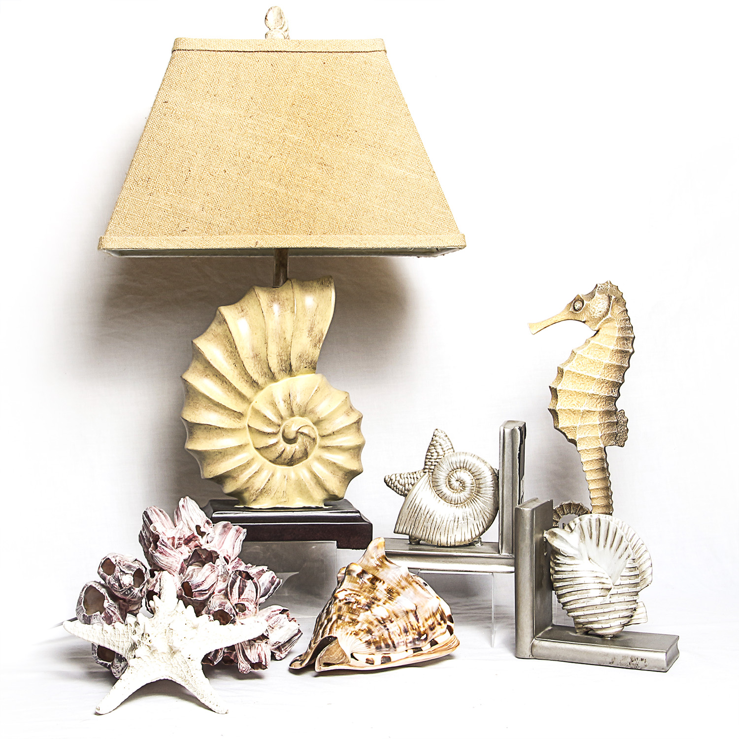Collection of Sea Shell Inspired Decor