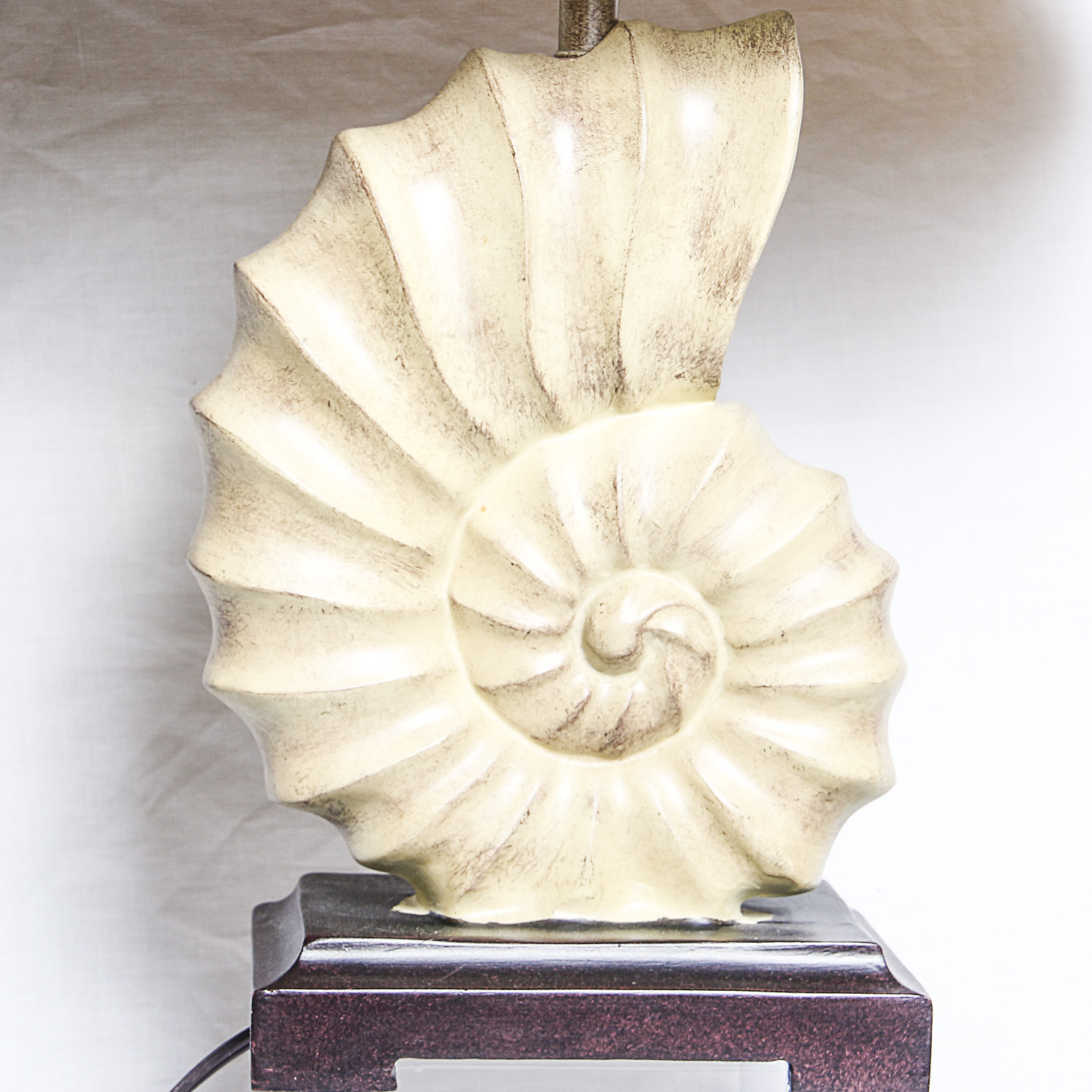 Collection of Sea Shell Inspired Decor