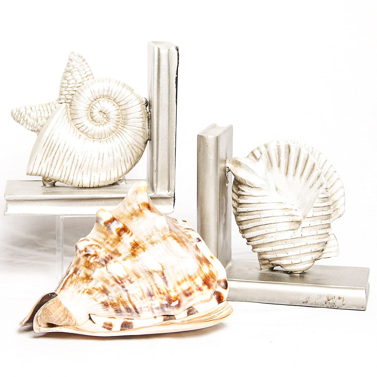 Collection of Sea Shell Inspired Decor