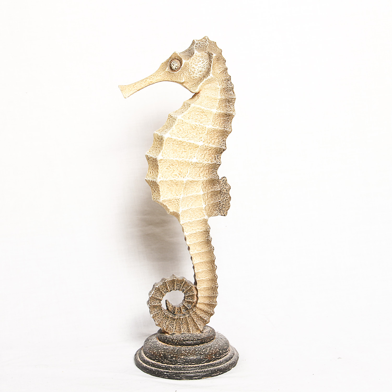 Collection of Sea Shell Inspired Decor